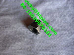 C ötvözet 22  Hastelloy C 22  Kovácsolt aljzathegesztés SW menetes csőszerelvények